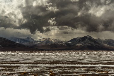Cordillera de los andes