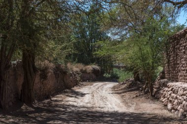 San Pedro de Atacama, Şili