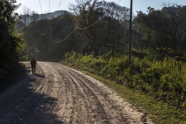 Adam arkadan aydınlatmalı, yürüme