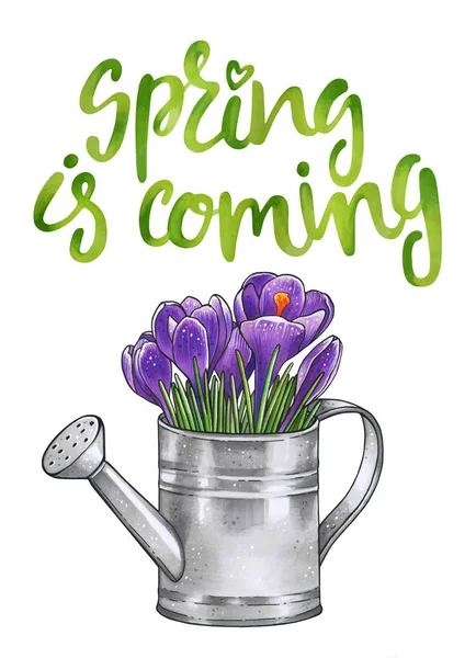 Hand drawn crocuses — Stock Photo, Image