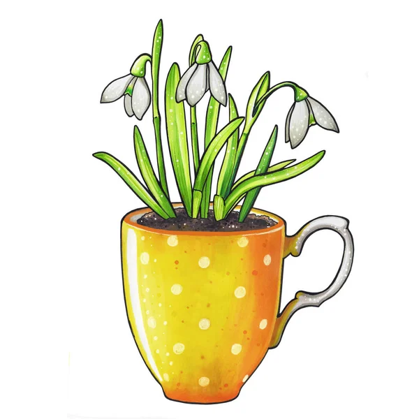 Snowdrop flowers in mug — Stock Photo, Image