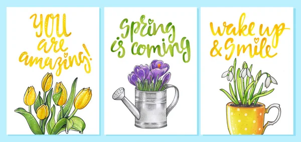 De kaarten van de groet van de lente — Stockfoto