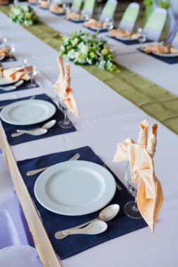 Tablo ile gözlük ve parti için seramik plakalar