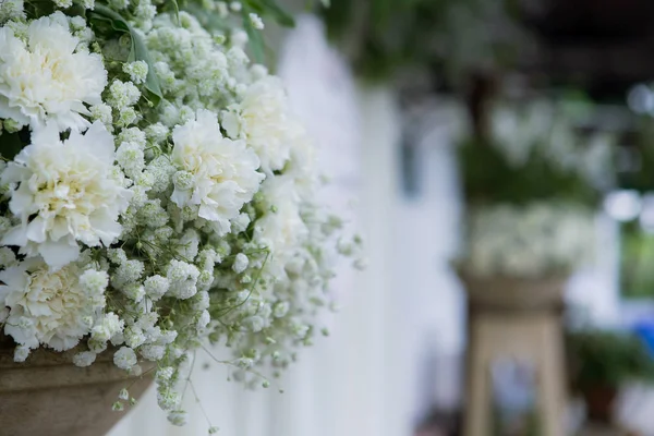 Krásné květiny zázemí pro svatební scénu a událost — Stock fotografie
