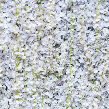 Çiçekler çok güzel arka plan Ödülleri töreni düğün sahnesi