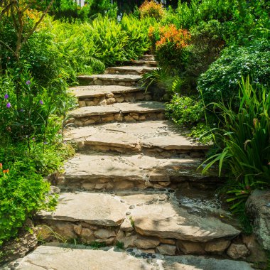 Bir parkın içinden bir taş merdiven.