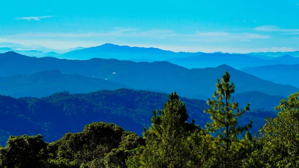 Inthanon mirador del bosque Chiang Mai Tailandia —  Fotos de Stock