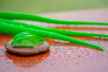 Aloe dilimlenmiş, ahşap bir arka plan üzerinde izole