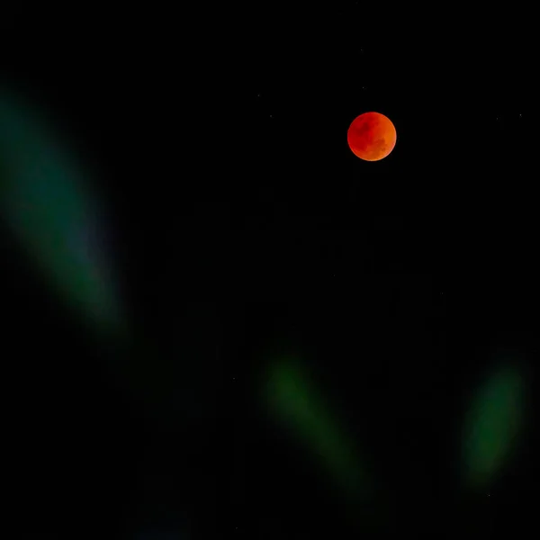 Krvavý měsíční koncept červeného úplňku proti černé obloze — Stock fotografie