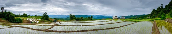 Ban Papongpieng Terrazas de arroz, Chiang Mai, norte de Tailandia — Foto de Stock