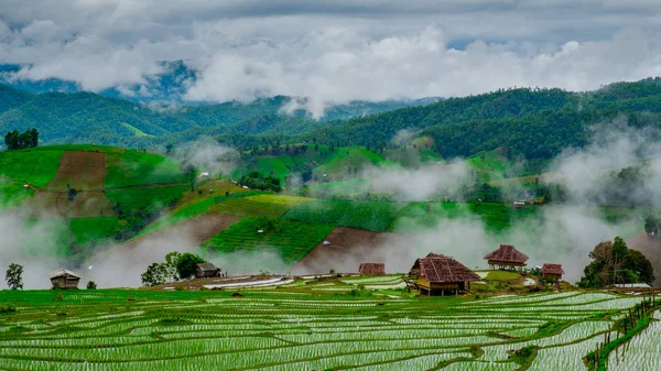 Ban Papongpieng Rice Terraces, Chiang Mai, North of Thailand — Stock Photo, Image