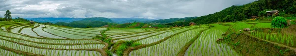 Ban Papongpieng Rice Terraces, Chiang Mai, Nord de la Thaïlande — Photo