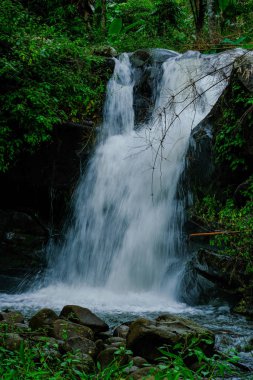 Phu Soi Dao Ulusal Parkı Şelaleler, Tayland