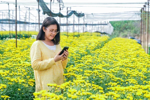 Una Donna Asiatica Stava Camminando Scattare Una Foto Crisantemo Giallo — Foto Stock