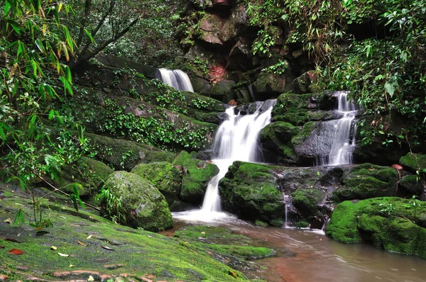 Cachoeira Floresta Profunda — Fotografia de Stock