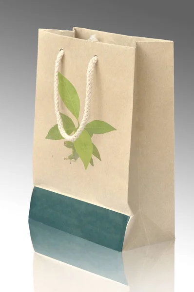 环保回收纸袋的概念图 — 图库照片