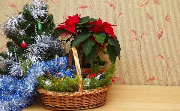 Véspera de Natal. Ornamentos, árvore de Natal e poinsettia — Fotografia de Stock