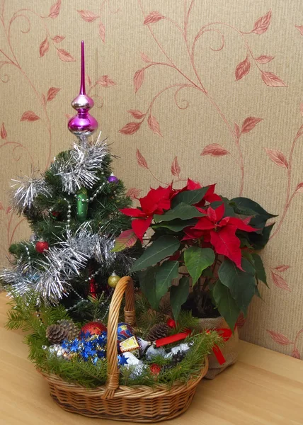 Árvore de Natal e poinsettia na mesa — Fotografia de Stock