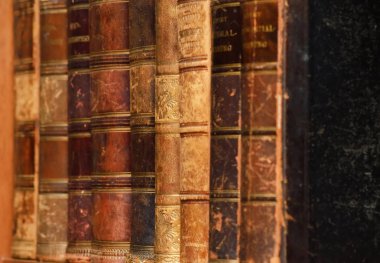 Kökleri eski kitaplar arka plan