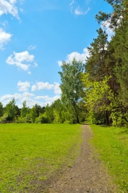 Orman, çayır ve gökyüzü bulutlu
