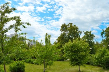 Park, Tyumen şehir yeşil çimenler