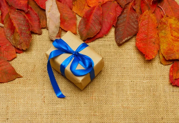 sonbahar arka plan üzerinde güzel hediye kutusu