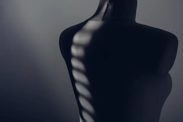 Tailor mannequin body with light and shadow spots