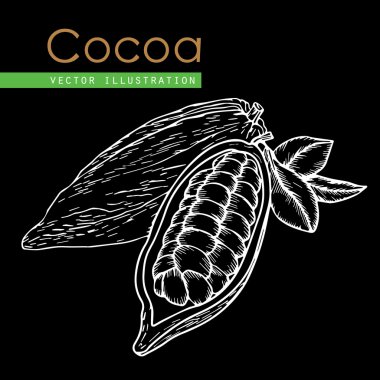 Kakao çekirdeği siyah