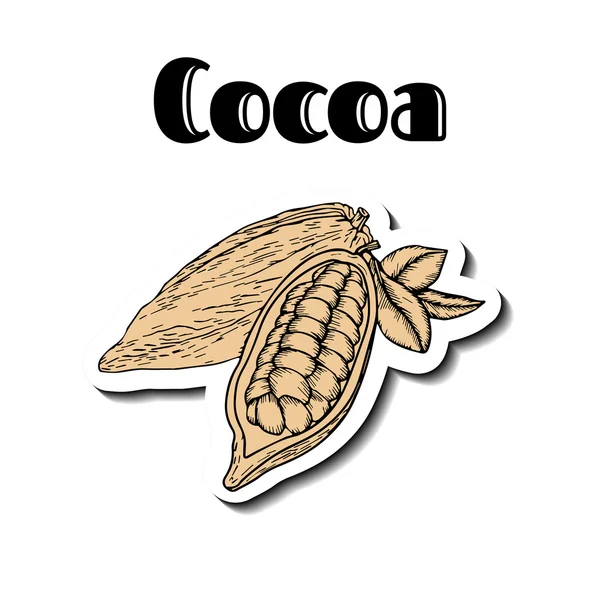 Cacaoboon beige — Stockvector