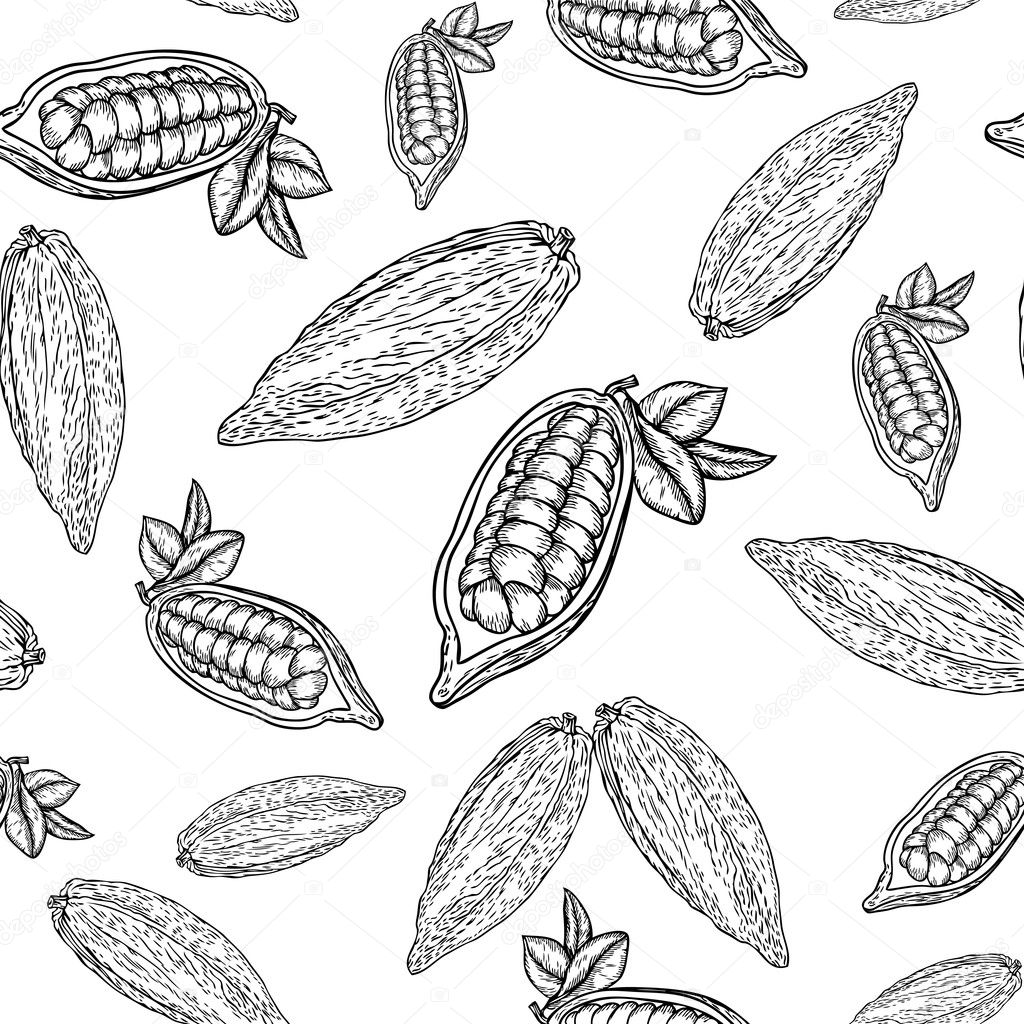 Cocoa bean pattern_white