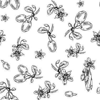 Goji meyveleri pattern_6