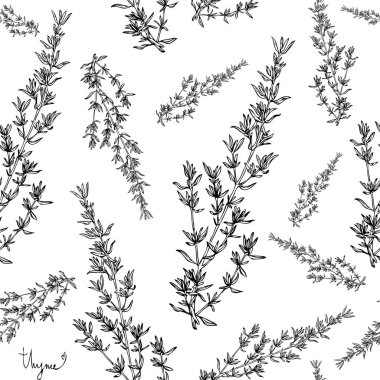 kekik bitki seamless modeli