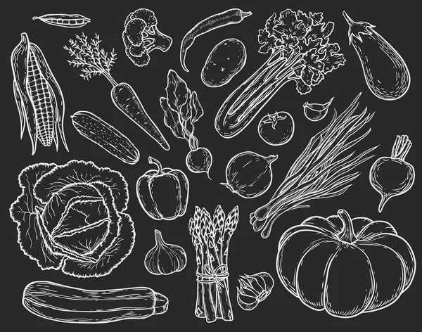Овочі набір — стоковий вектор