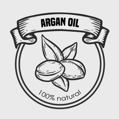 Argan vektör çizim fındık yağı, meyve, berry, yaprak, dal, bitki.