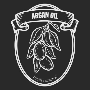 Argan vektör çizim fındık yağı, meyve, berry, yaprak, dal, bitki.