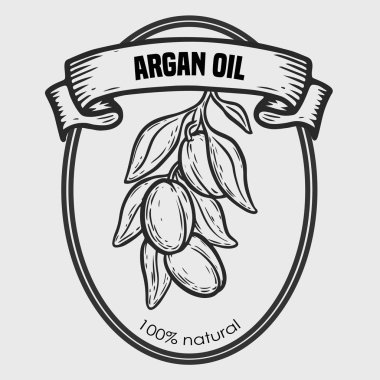 Argan vektör çizim fındık yağı, meyve, berry, yaprak, dal, bitki.
