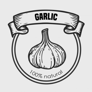 Sarımsak vektör çizim