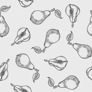 Beyaz arka planda vektör armut oyma deseni. Menü ve reklamlar için klasik el çizimi illüstrasyonu
