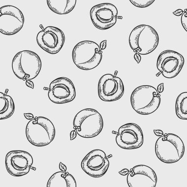 Beyaz arka planda vektör kayısı oyma deseni. Menü ve reklamlar için klasik el çizimi illüstrasyonu