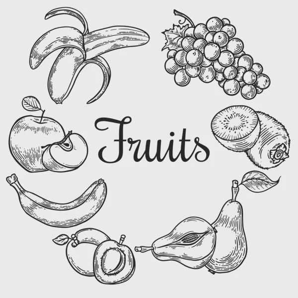 Corona Frutas Grabado Vectorial Sobre Fondo Blanco Ilustración Dibujada Mano Ilustración De Stock