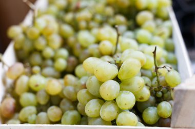 Piyasada beyaz üzüm.