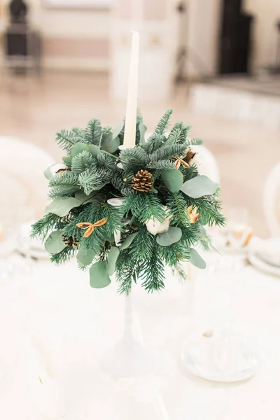Banquete mesa de casamento definição inverno decorado — Fotografia de Stock