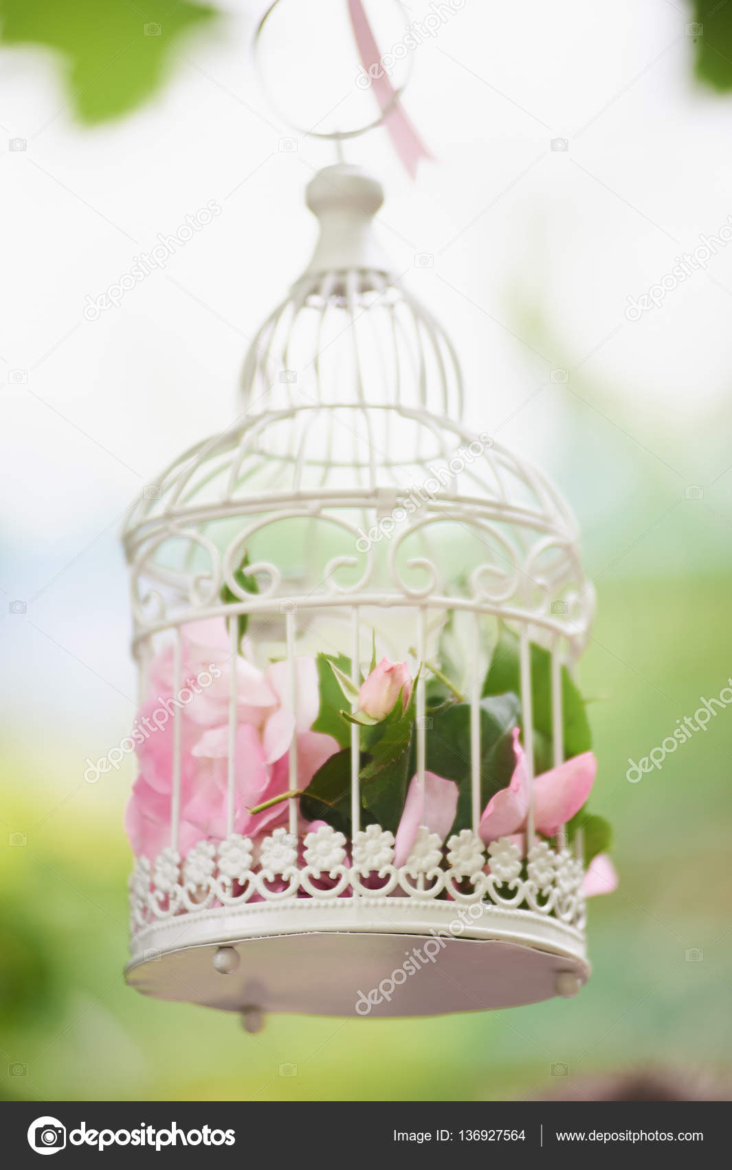 Fleurs Roses En Belle Cage à Oiseaux Vintage Photographie