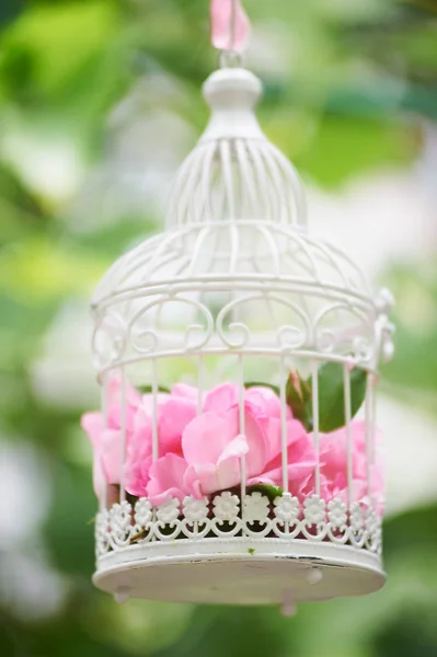 Różowe kwiaty w piękne vintage klatka dla ptaków. — Zdjęcie stockowe