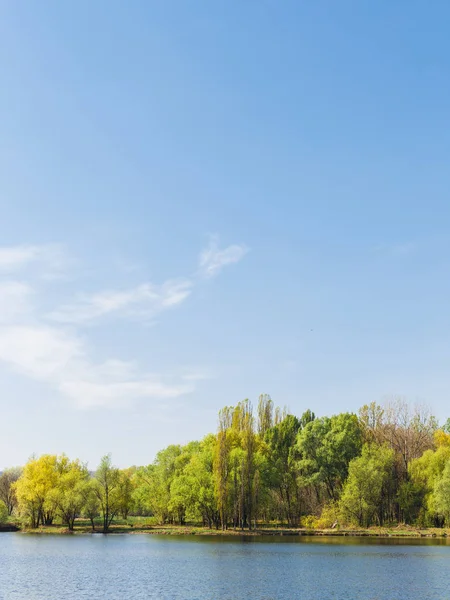 Lago y paisaje forestal — Foto de Stock