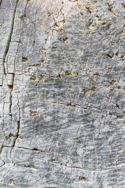 eski ahşap doku arkaplanı