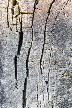 eski ahşap doku arkaplanı