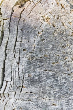 eski ahşap doku arkaplanı