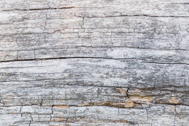 eski ahşap doku arkaplanı