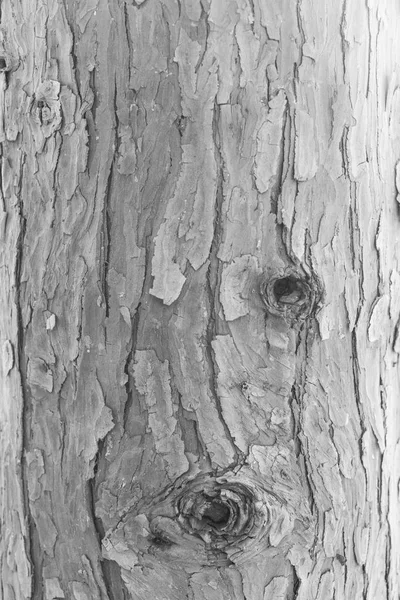 Czarno-białe drewno tekstury tła — Zdjęcie stockowe